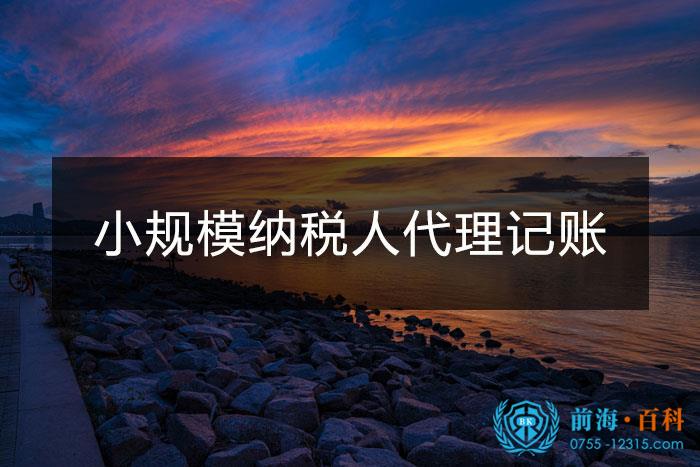 小规模纳税人代理记账